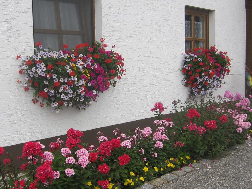 Erwachsenen Aparthotel Naturidyll - Der Wieserhof Bad Füssing Exteriér fotografie