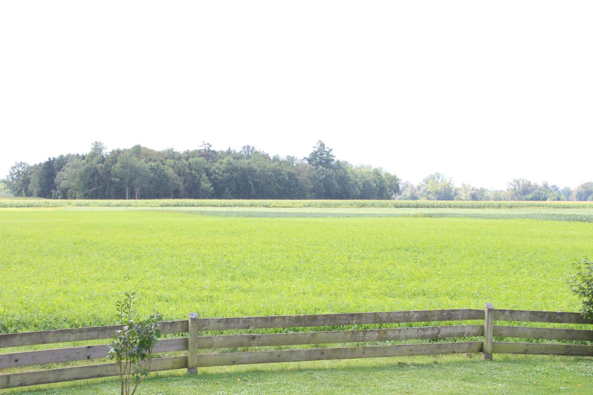 Erwachsenen Aparthotel Naturidyll - Der Wieserhof Bad Füssing Exteriér fotografie